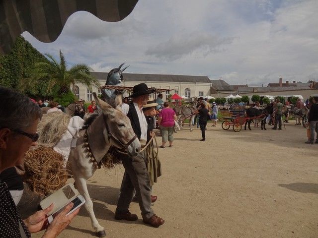 DSC08753.jpg