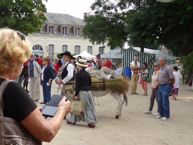 DSC08755.jpg