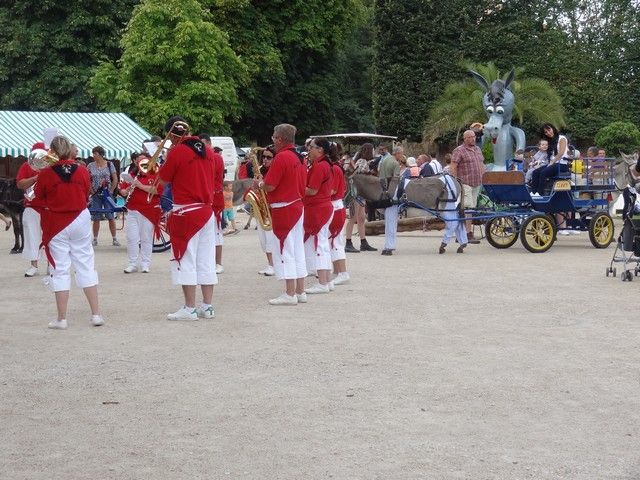 DSC08757.jpg