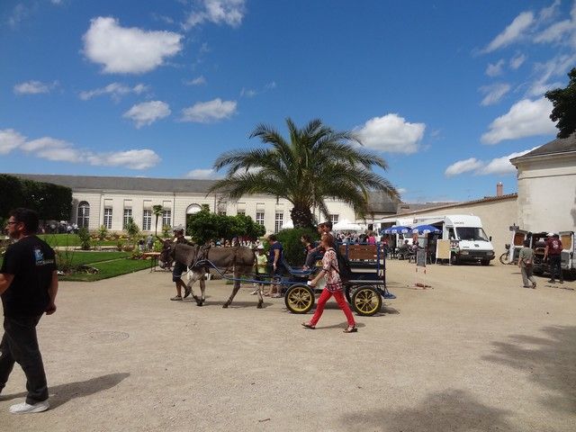 DSC08761.jpg