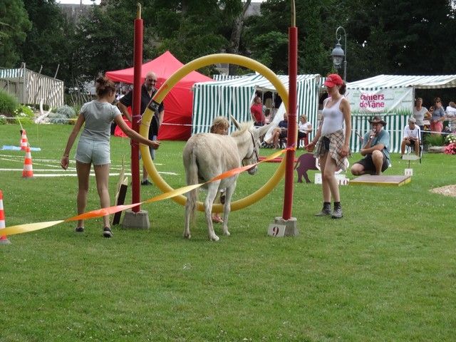 DSC08764.jpg