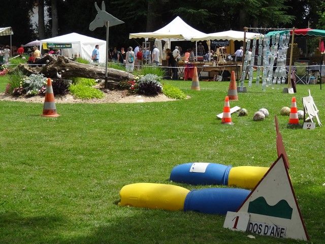 DSC08767.jpg