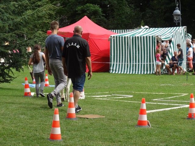 DSC08774.jpg