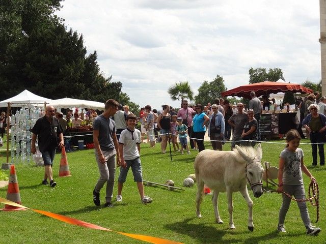 DSC08778.jpg