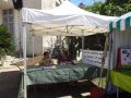 DSC08743.jpg