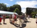 DSC08744.jpg
