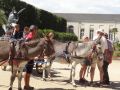 DSC08747.jpg