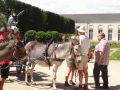DSC08748.jpg