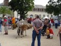 DSC08754.jpg
