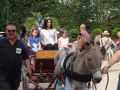 DSC08758.jpg
