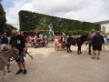 DSC08759.jpg