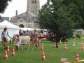 DSC08763.jpg