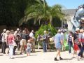 DSC08765.jpg