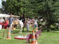 DSC08773.jpg
