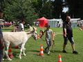 DSC08775.jpg