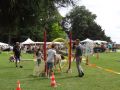 DSC08777.jpg