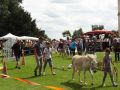 DSC08778.jpg