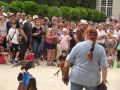DSC08782.jpg