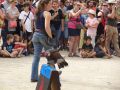 DSC08783.jpg