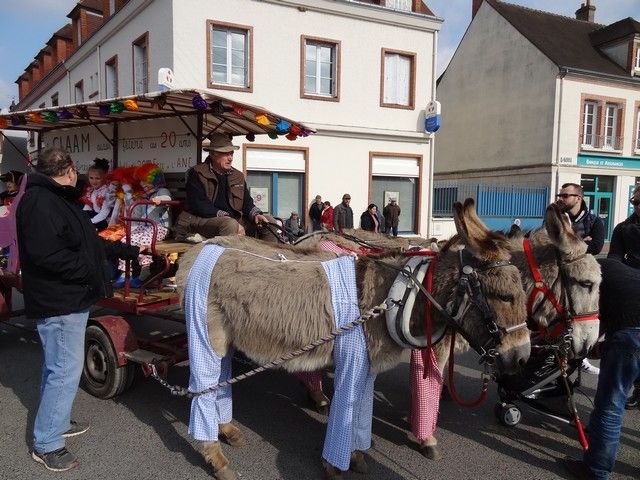 DSC07447.jpg