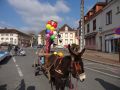 DSC07452.jpg