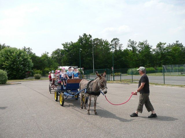 P1080310.jpg