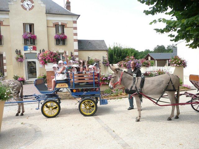 P1080319.jpg