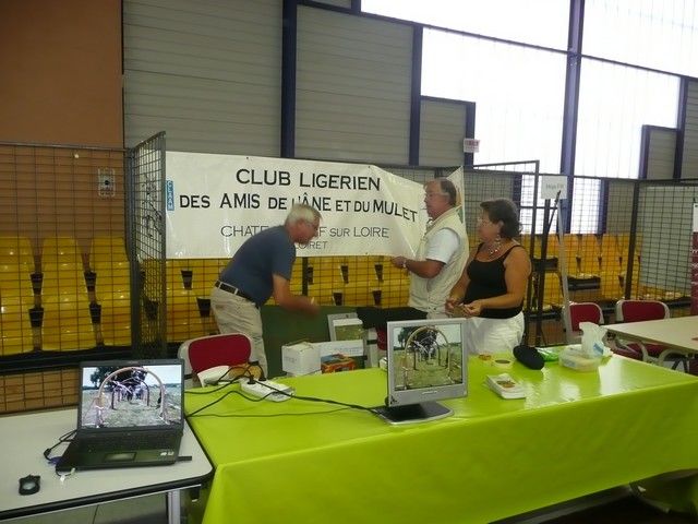 P1080731.jpg