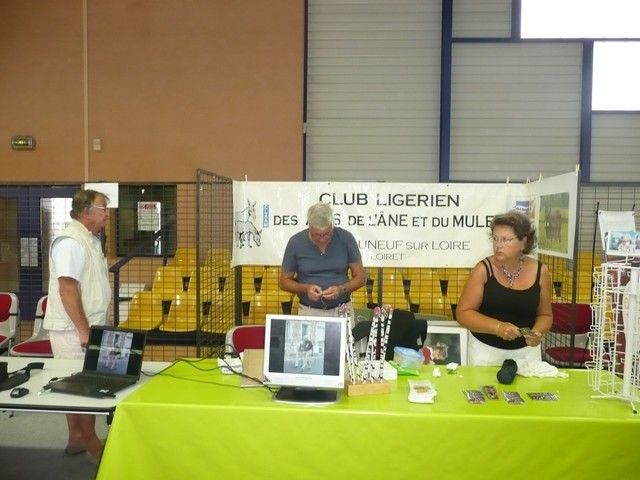 P1080732.jpg