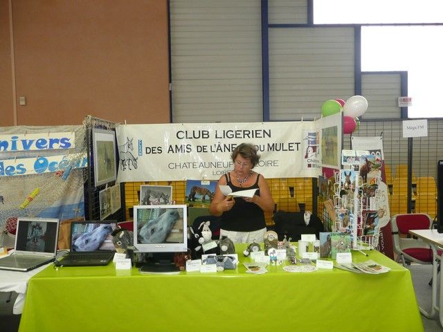 P1080738.jpg