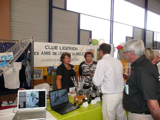 P1080754.jpg