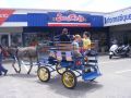 DSCF3670.jpg
