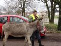 DSC07436.jpg