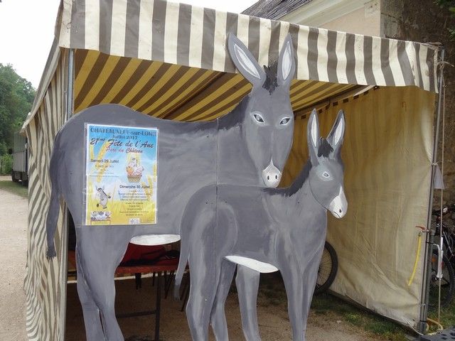 DSC08624.jpg
