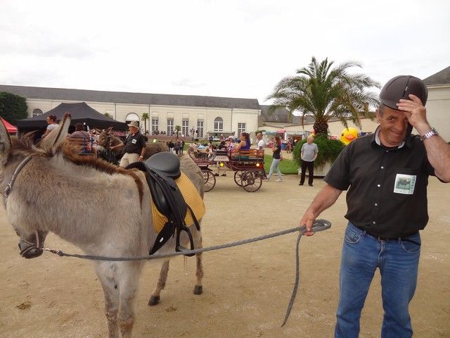 DSC08648.jpg