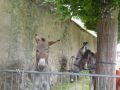 DSC08613.jpg