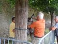 DSC08616.jpg