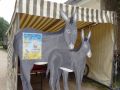 DSC08624.jpg