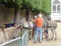 DSC08625.jpg