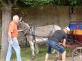 DSC08626.jpg