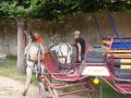 DSC08628.jpg