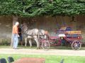DSC08633.jpg