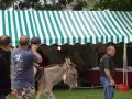 DSC08638.jpg