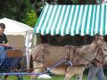DSC08639.jpg