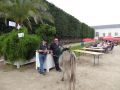 DSC08649.jpg