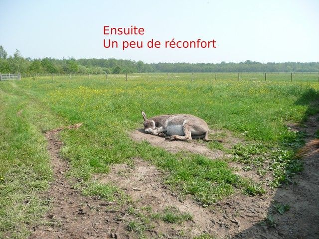P1060335.jpg