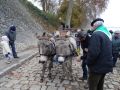DSC03397.jpg