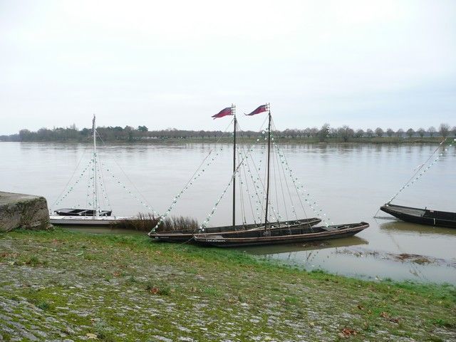 P1070231.jpg