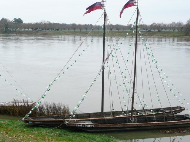P1070232.jpg