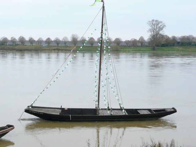 P1070233.jpg